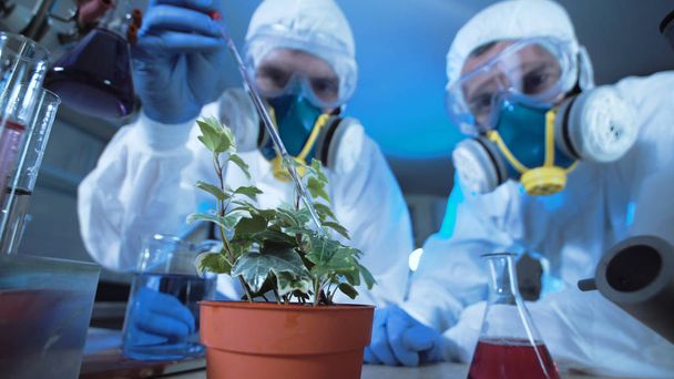 Personas que gotean químicos en la planta
 - Foto, Imagen