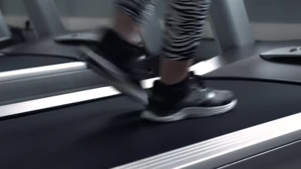 Exercising in the gym, treadmill cardio workout - Кадри, відео
