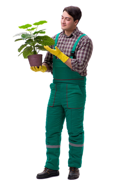 Hombre joven jardinero aislado en blanco - Foto, imagen