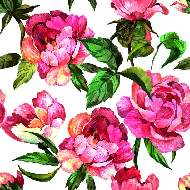 Wildflower peony flower in pattern a watercolor style. - Photo, Image