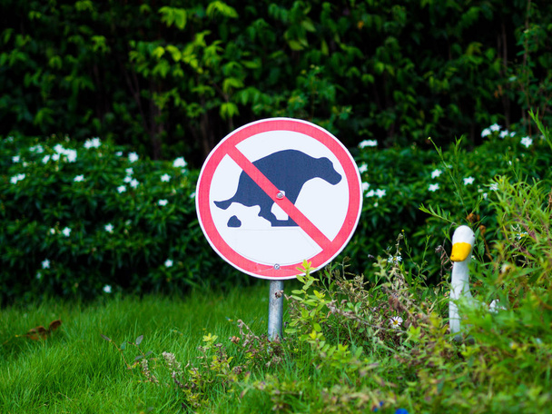 Kaka işareti parkta köpek - Fotoğraf, Görsel