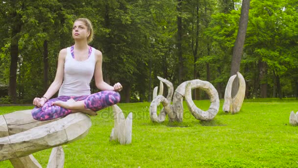 młoda kobieta robi ćwiczenia jogi w parku - Materiał filmowy, wideo