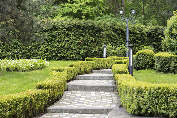 Кобленд крокова стежка в прекрасному парку, обрамленому зрізаними кущами
 - Фото, зображення