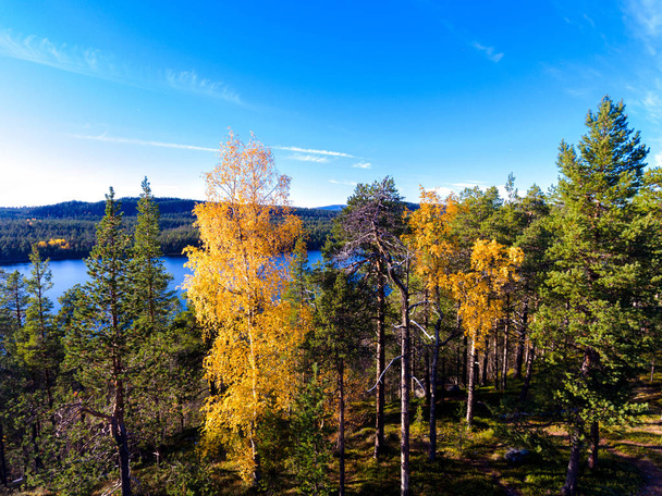 View from a hill to a lake over forest in autumn colours in Lapl - Foto, immagini