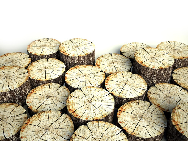 Felled tree stumps, background and copyspace - Photo, Image