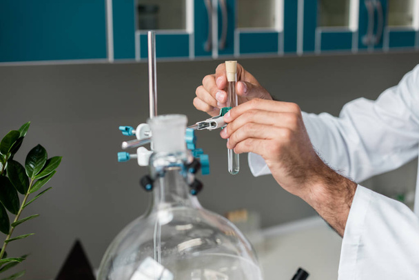 Scientist in chemical laboratory - Foto, imagen