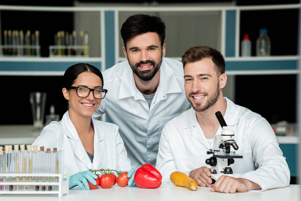 Scientists examining vegetables   - Photo, Image