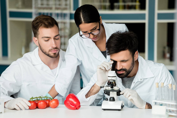 Scientists examining vegetables   - Фото, зображення