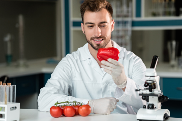 Учёный, изучающий овощи
  - Фото, изображение