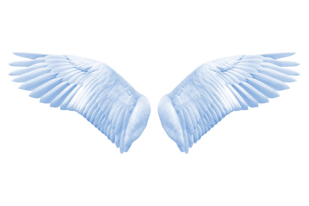 Φτερά αγγέλου, φυσικό μπλε φτερό φτέρωμα με ψαλίδισμα μέρος - Φωτογραφία, εικόνα