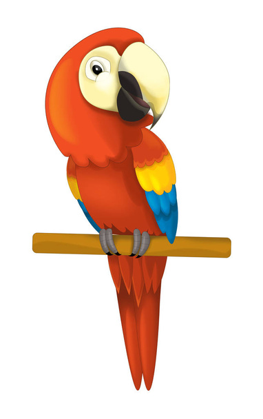 parrot sitting looking and resting - Photo, Image