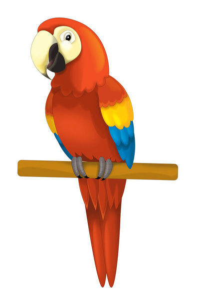 parrot sitting looking and resting - Photo, image
