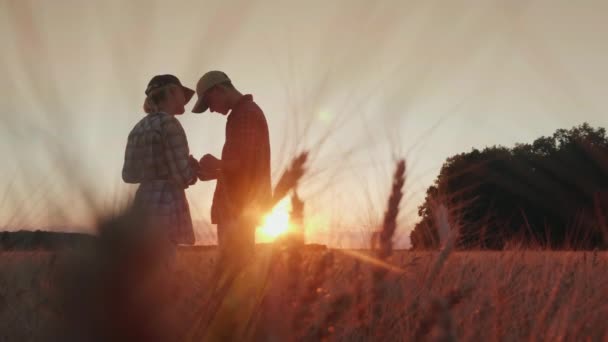 Bauern arbeiten auf dem Weizenfeld, kommunizieren, schauen auf die Tablette. schöner Sonnenuntergang über dem Feld - Filmmaterial, Video