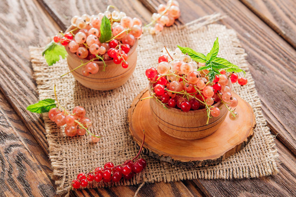 Red, pink and white currant - Photo, Image