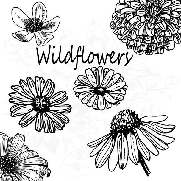 A set of stickers - wild flowers. Detailed sketch, close-up - Διάνυσμα, εικόνα