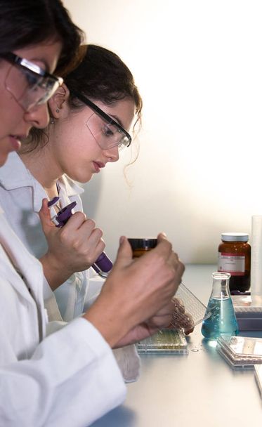 Two lab mates working on science project - Photo, Image