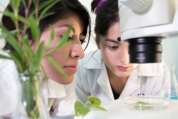 Deux étudiants mignons apprenant la botanique lors d'une pratique scientifique
 - Photo, image
