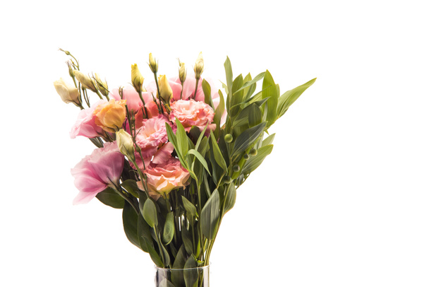 gyönyörű rózsaszín virágok - Fotó, kép