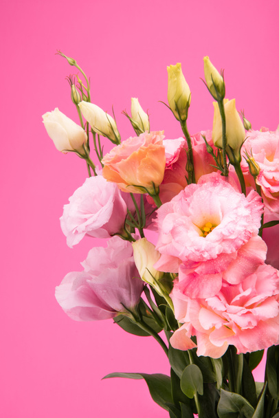 hermosas flores rosadas - Foto, Imagen