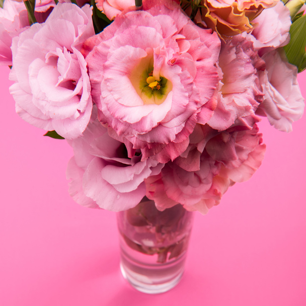 schöne rosa Blüten - Foto, Bild