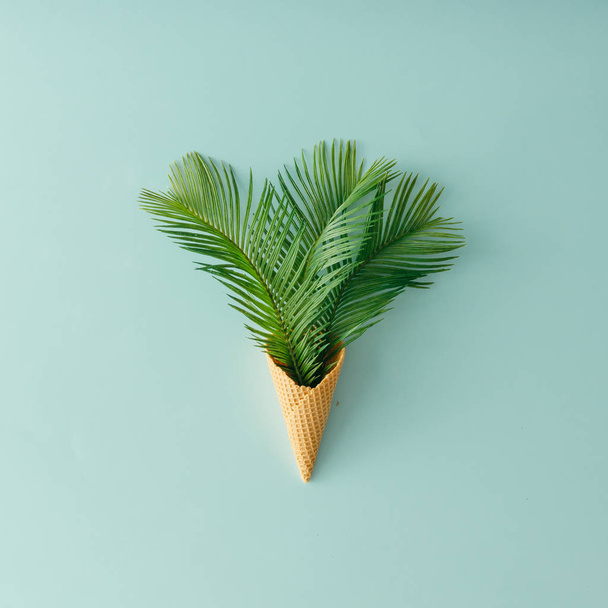 Пальмовые листья в рожке мороженого
  - Фото, изображение