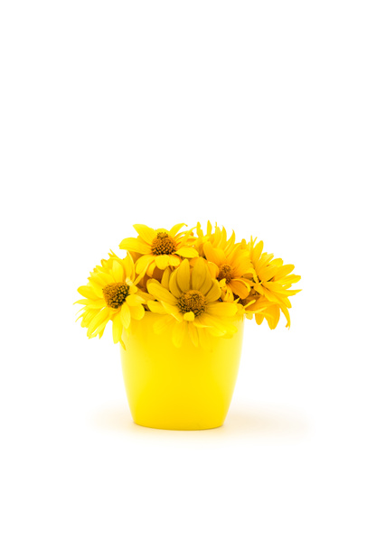 Schöne gelbe Blumen - Foto, Bild
