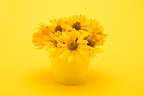 Belles fleurs jaunes - Photo, image