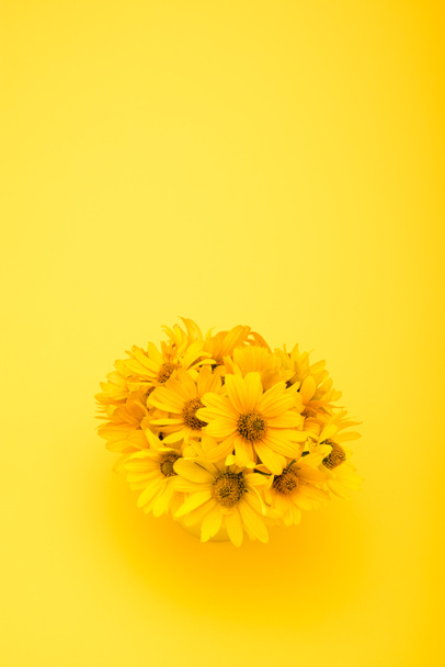 Beautiful yellow flowers - Photo, Image