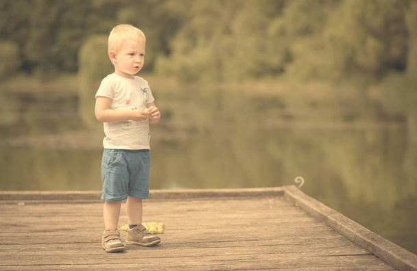 Little boy play with wild berries - Zdjęcie, obraz