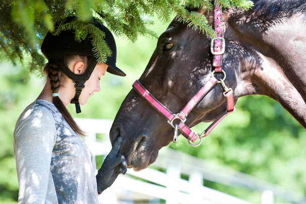 Young teenage girl equestrian touching her brown horse nose. - Photo, Image