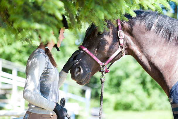 Fiatal tizenéves lány lovas megható gesztenye ló orrát. - Fotó, kép