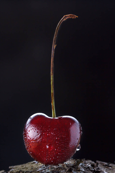 One cherry on a tree on a dark background. - Фото, зображення