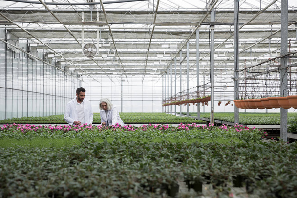 Bearded man standing in greenhouse with mature woman - Foto, Imagen