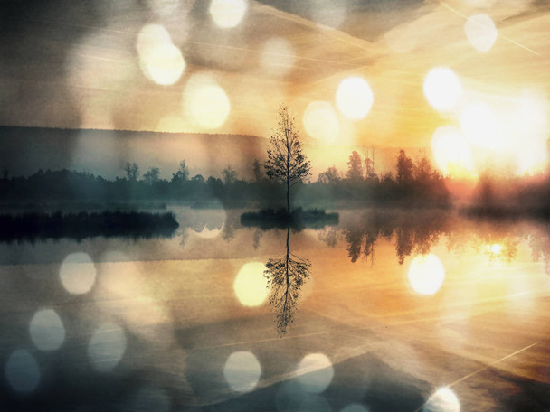 Ранняя осень на горном озере в сказочной атмосфере, дерево на острове в середине
. - Фото, изображение