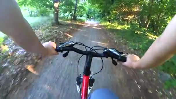 Cycling in the woods on a dirt road - Footage, Video