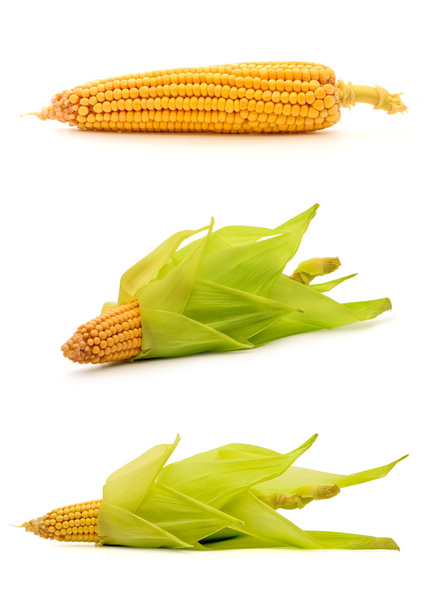Corns - Foto, afbeelding