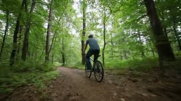 Steady cam view of man riding bycicle on forest road - Materiał filmowy, wideo