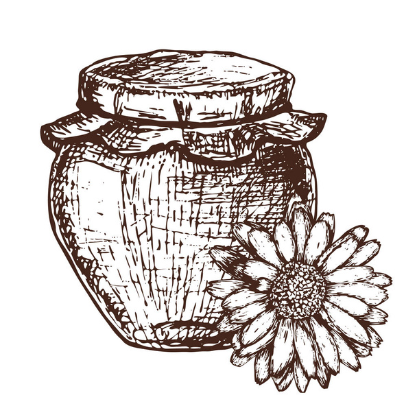 Honey ink sketch illustration - Vektor, obrázek