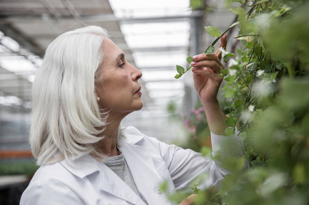 Érett nő áll a üvegházhatást okozó növények közelében - Fotó, kép