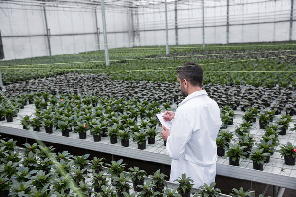 Young concentrated man standing in greenhouse near plants - Foto, Imagen