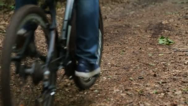 Man on bycicle rides away in forest - Záběry, video