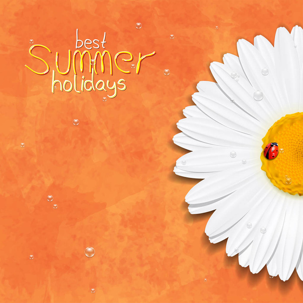 Daisy flower. Chamomile. Best Summer holidays - Διάνυσμα, εικόνα