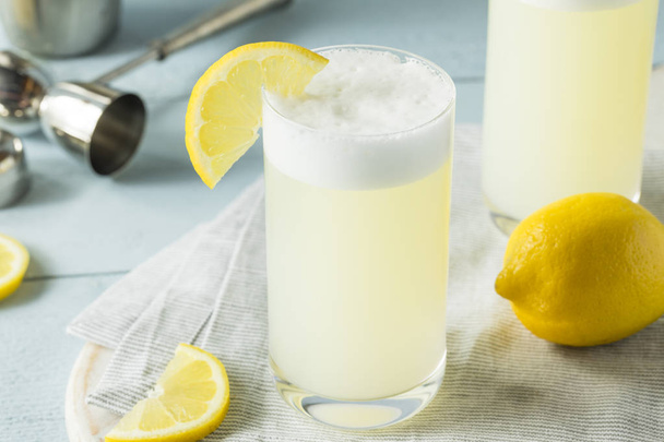 Refreshing Cold Egg Gin Fizz - Foto, afbeelding