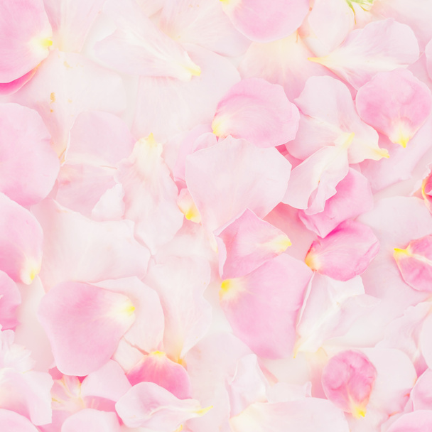 płatki różowy tło - Zdjęcie, obraz