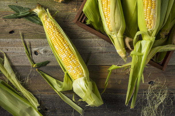 Raw Organic Yellow Corn on the Cob - Fotó, kép