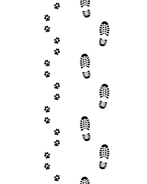 shoes and paws - Vector, Image