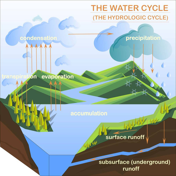 Esquema del ciclo del agua, planos diseño stock vector ilustración
 - Vector, Imagen