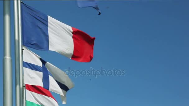 Powiewają flagi państw Unii Europejskiej - Materiał filmowy, wideo