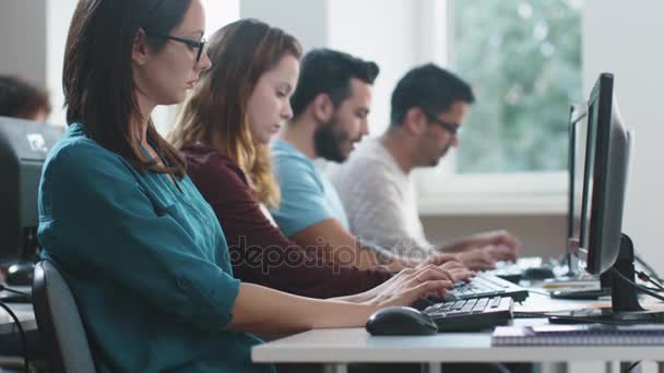 Grupo de estudiantes de raza mixta están sentados en una fila y trabajando en computadoras
. - Imágenes, Vídeo