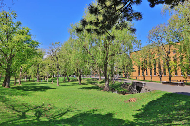 北海道大学でランドス ケープのキャンパス - 写真・画像